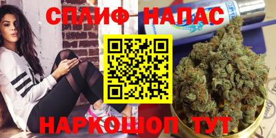 стафф Дмитров