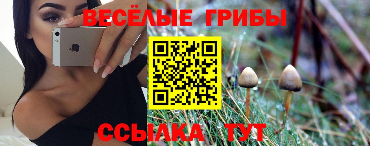 Галлюциногенные грибы Psilocybe  Вход с VPN  Сердобск  цены наркотик  Галлюциногенные грибы Psilocybine cubensis 