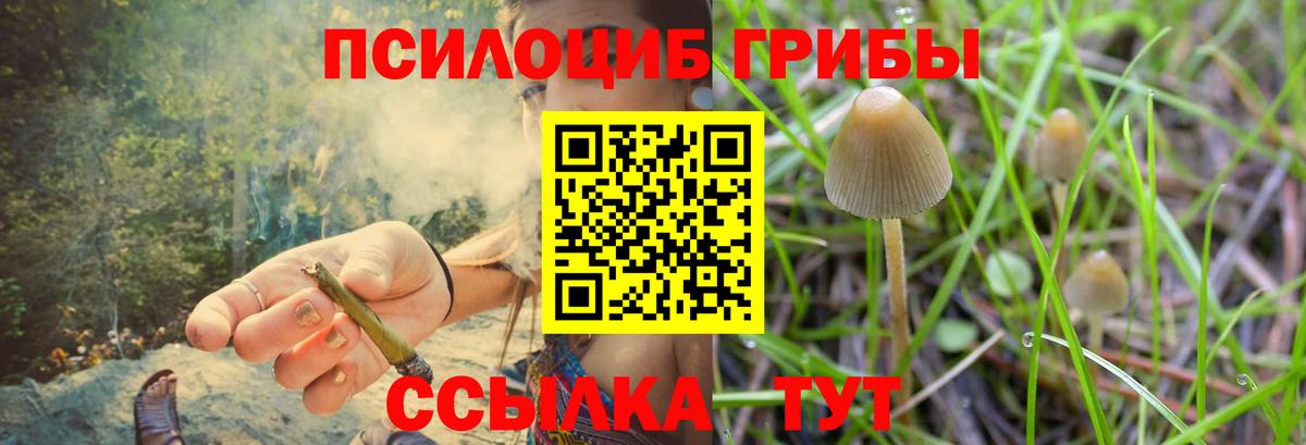 Галлюциногенные грибы мухоморы Сердобск